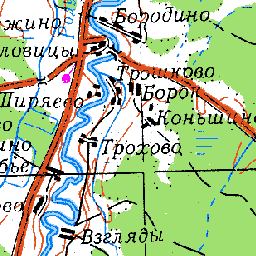 Бородино на карте