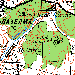 Карта пачелмского района