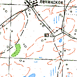 Карта село ленинское новосибирская область